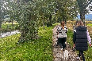 Die Genusswanderung von Bad Krozingen ins Münstertal