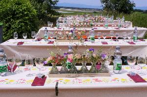 Genussmomente zwischen Reben und Weinkeller